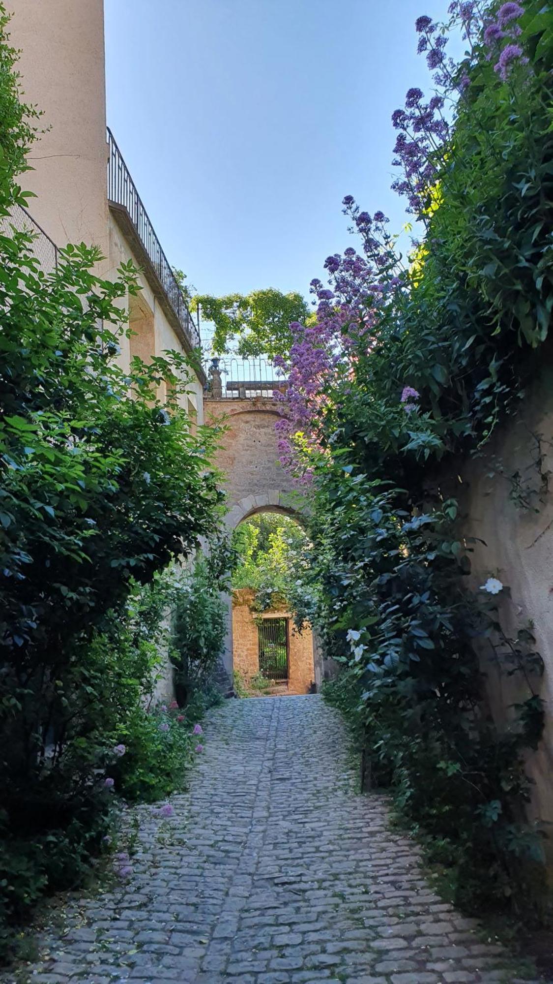 Etape Du Pont Pinard Villa Semur-en-Auxois Eksteriør bilde