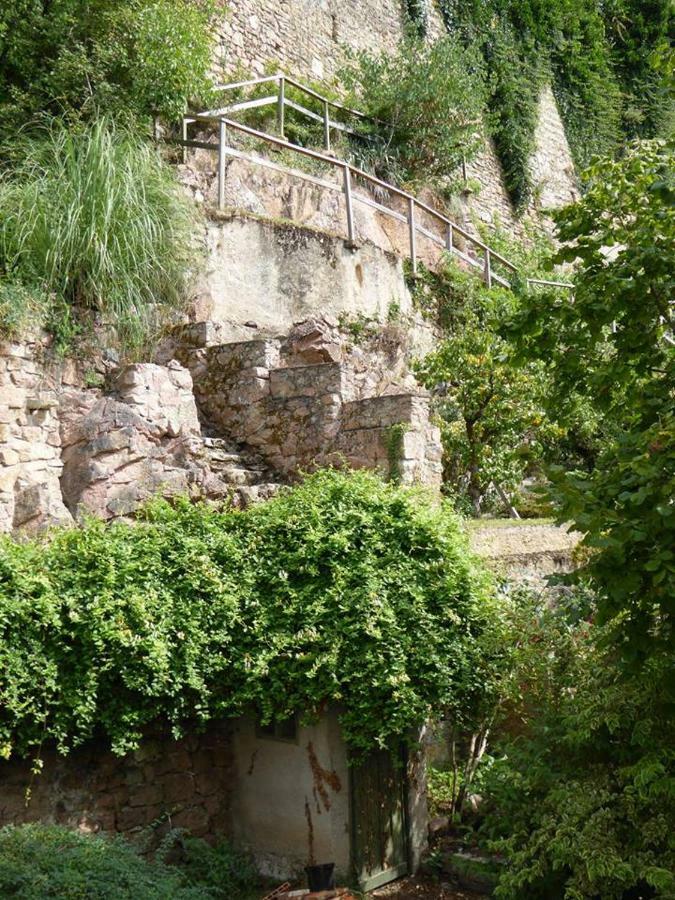 Etape Du Pont Pinard Villa Semur-en-Auxois Eksteriør bilde